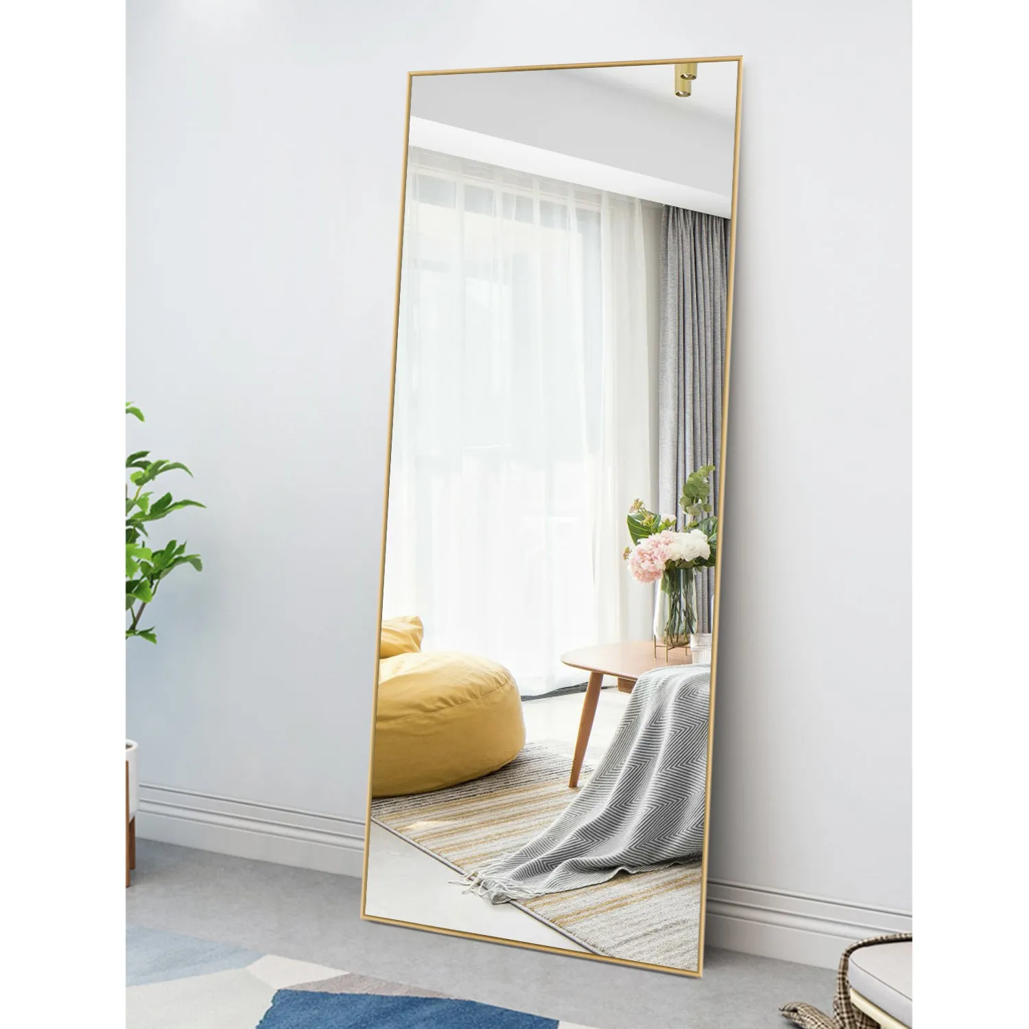 47-in H x 21-in W Wall Mirror