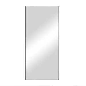 47-in H x 21-in W Wall Mirror