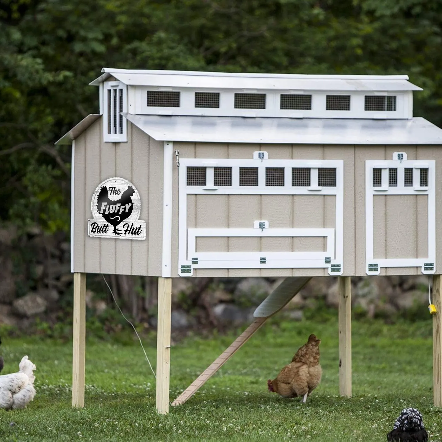 Bigtime Signs Chicken Coop Sign - The Fluffy Butt Hut - Hen House & Rooster Shelter Dibond