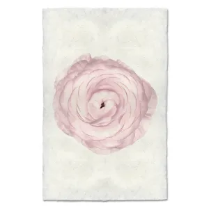 BLUSH RANUNCULUS