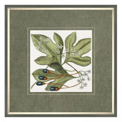 Botanical Beauty Framed Wall Art