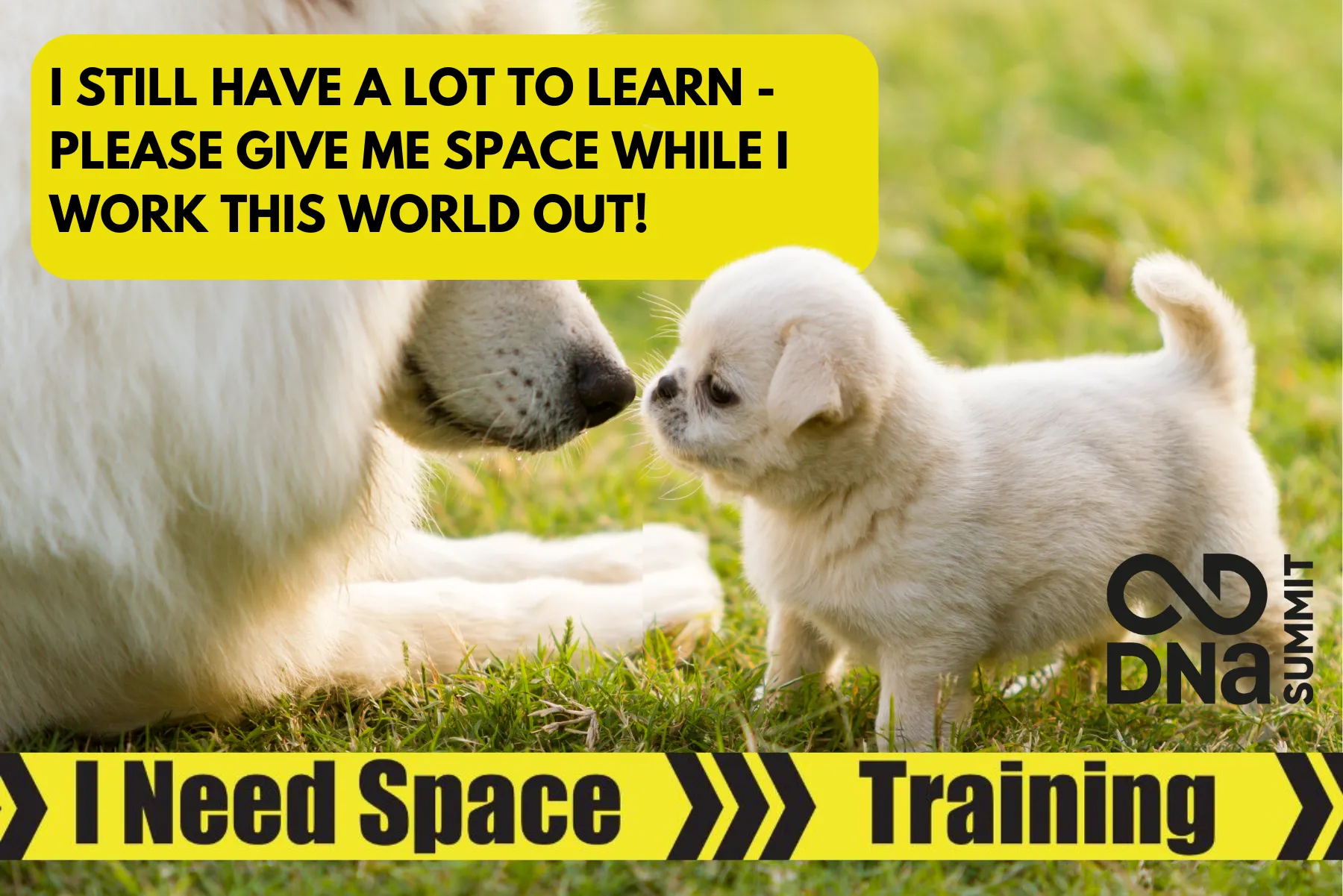 DNA - Signs - Behaviour Alert & Messaging Series - Summit Pro Lead *Black Friday Offer*
