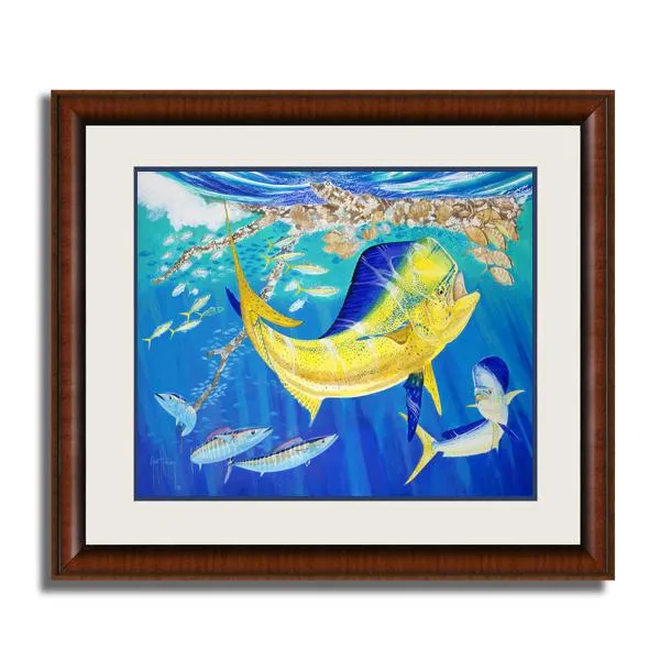 DOLPHIN OASIS 13X16 MINI FR