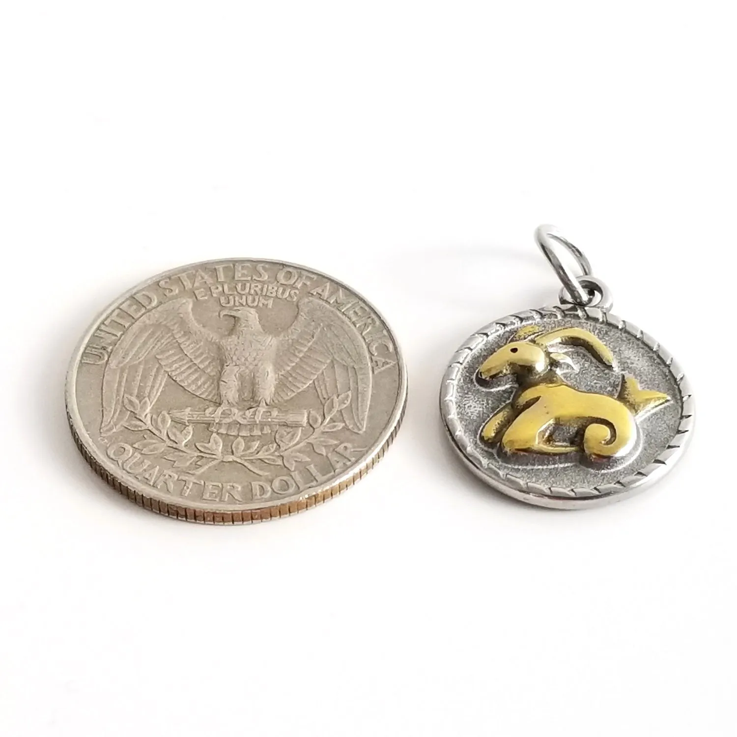 Gold Stainless Steel Zodiac Pendants, Astrological Signs Set of 12, 3/4 inch diameter