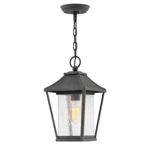 Hinkley 1212MB Outdoor Palmer Museum Black Hanging Light