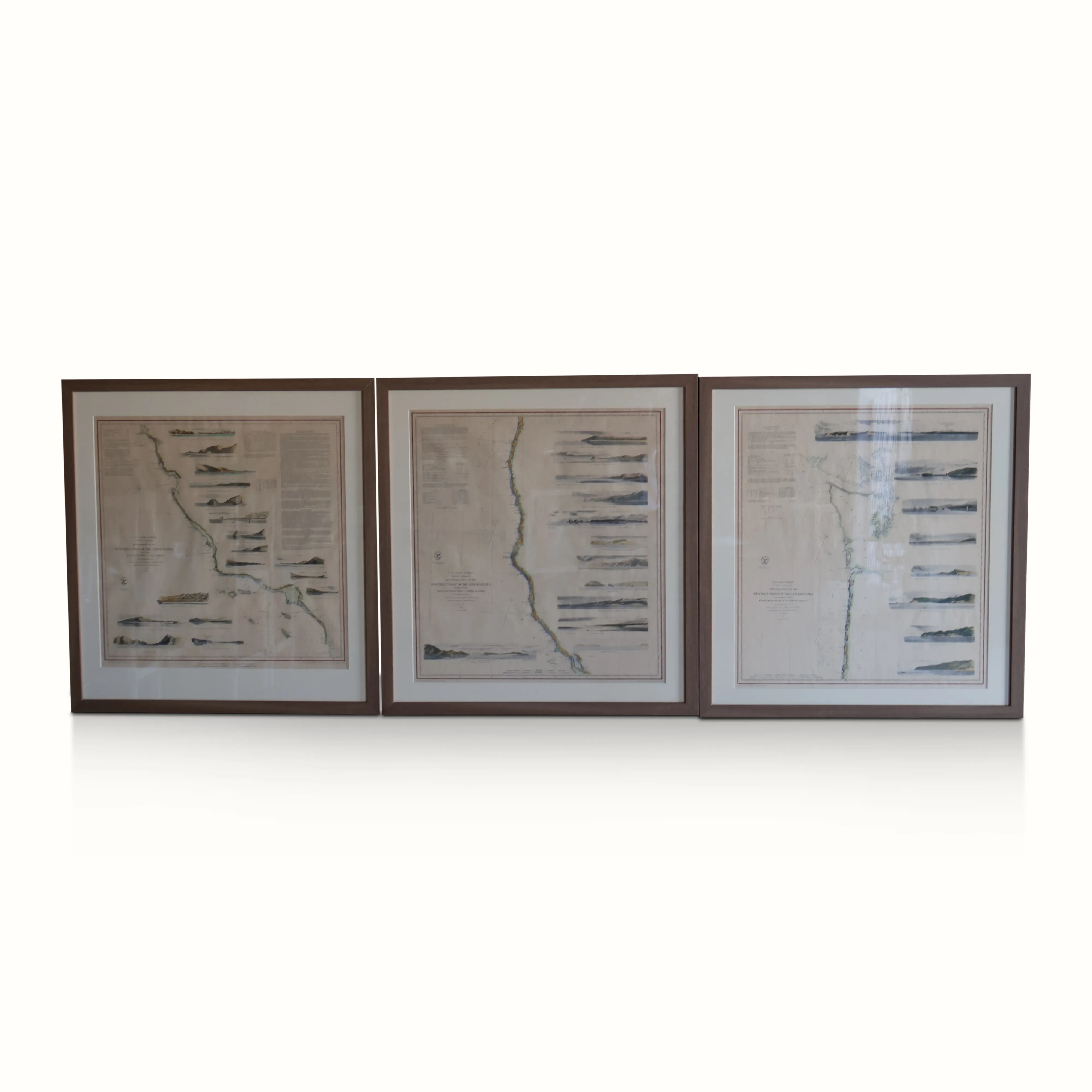 Late 19th C. Framed West Coast Geological Survey Maps