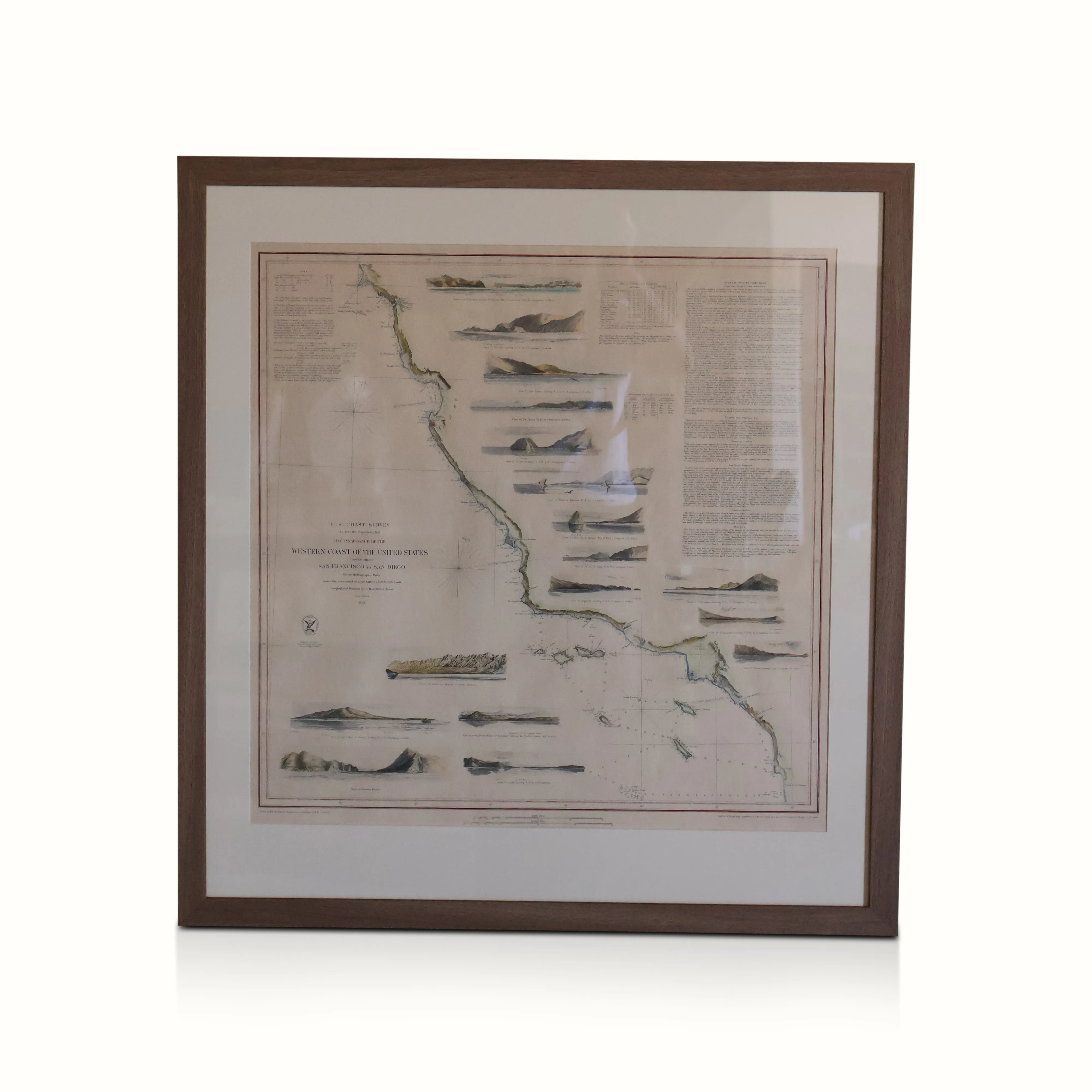 Late 19th C. Framed West Coast Geological Survey Maps