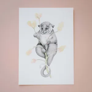 Possum Magic Giclée Print