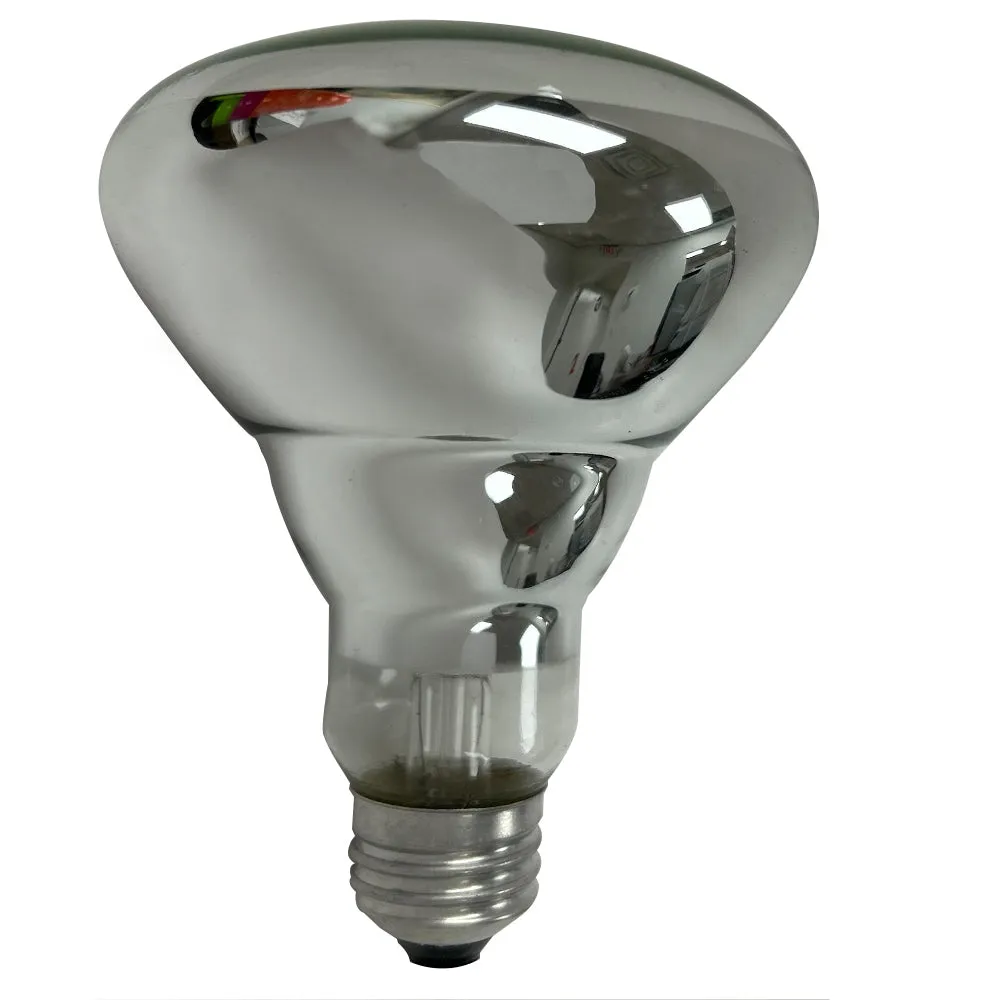 Reflector Flood Light Bulb R30 100w 120v Frost Replacement Lighting Lamp 2500hr