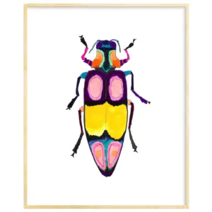 Snoogs & Wilde 5x7 Art Print ~ Beetle #2