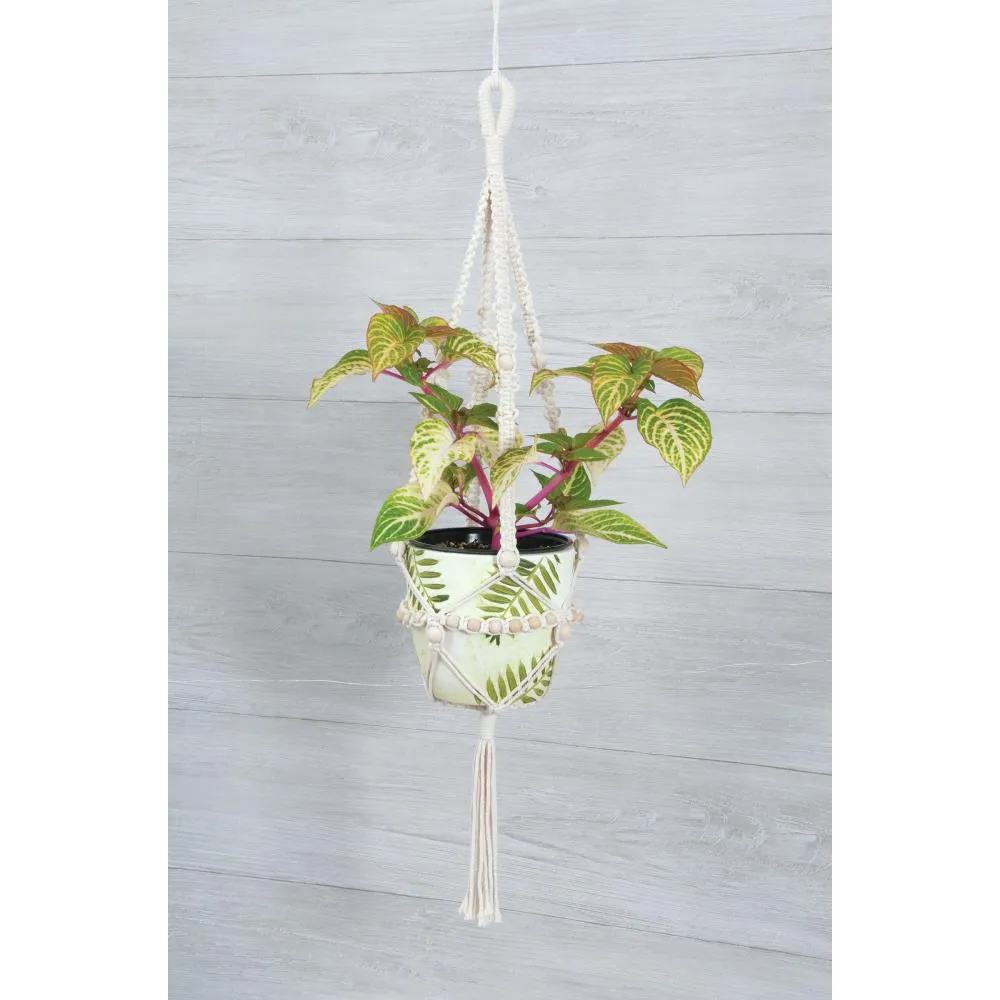 Solid Oak Macramé Hanging Kits