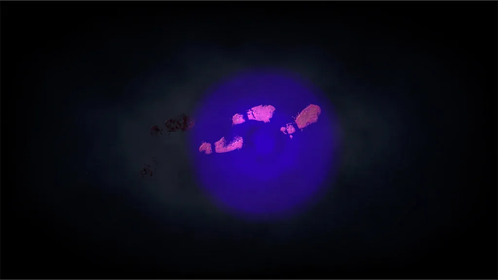 Spectral Signs