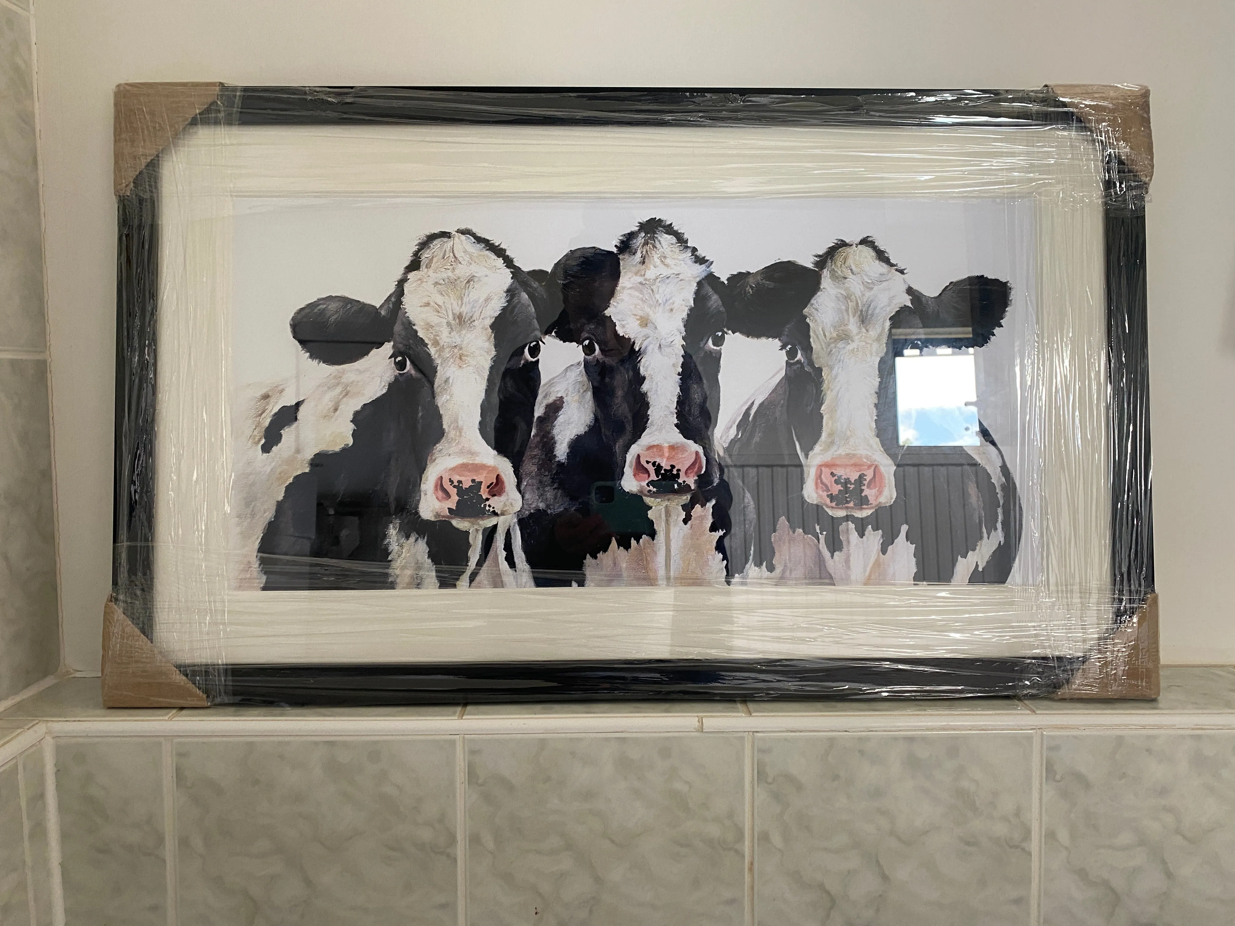 Three's a Crowd Framed Print
